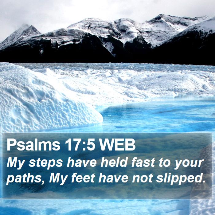 Psalms 17:5 WEB Bible Study