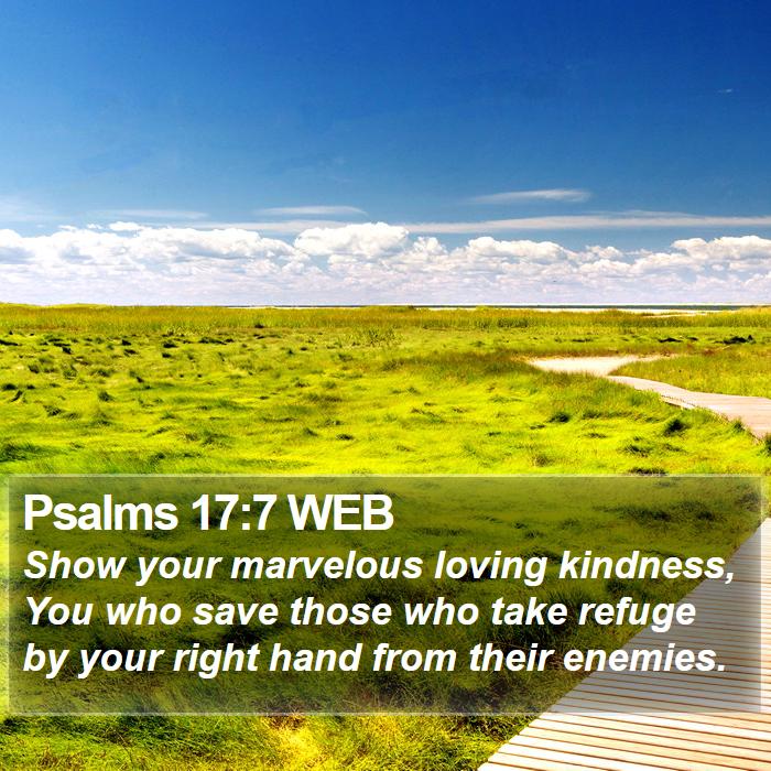 Psalms 17:7 WEB Bible Study