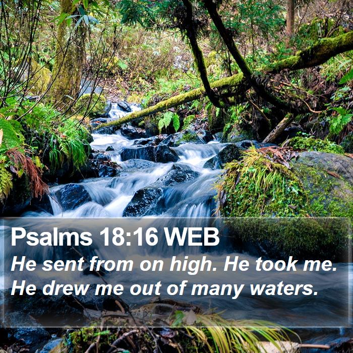 Psalms 18:16 WEB Bible Study