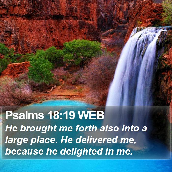 Psalms 18:19 WEB Bible Study