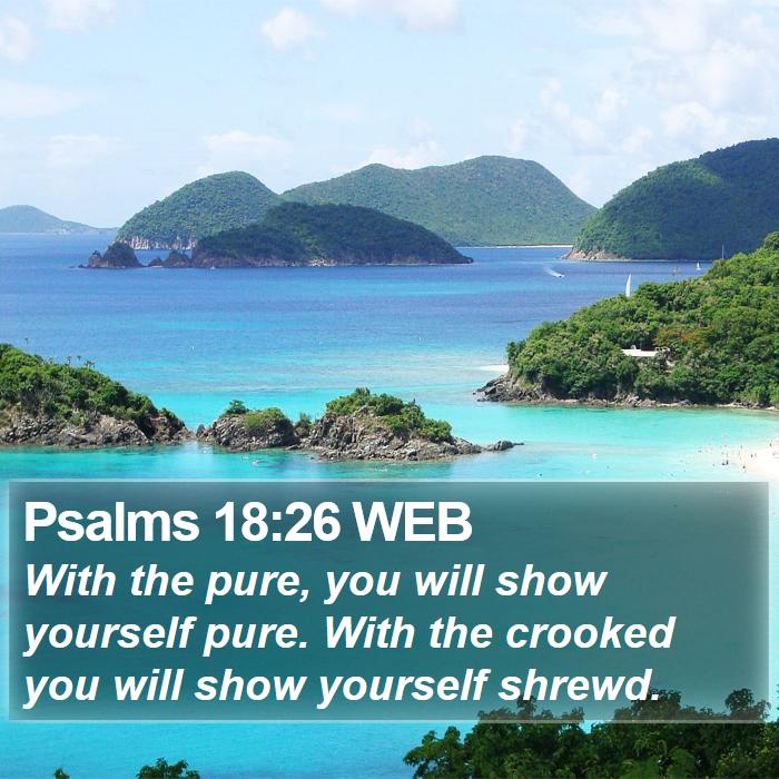 Psalms 18:26 WEB Bible Study