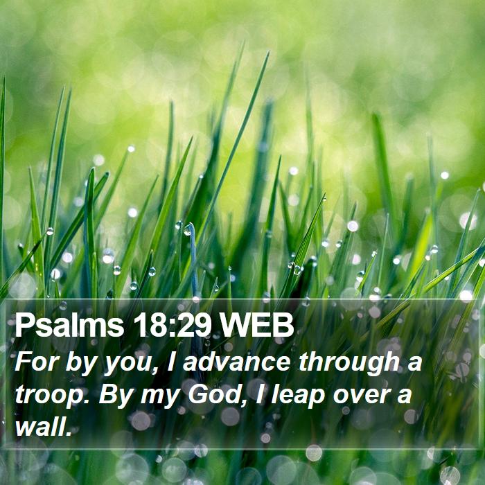 Psalms 18:29 WEB Bible Study