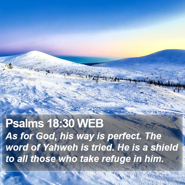 Psalms 18:30 WEB Bible Study