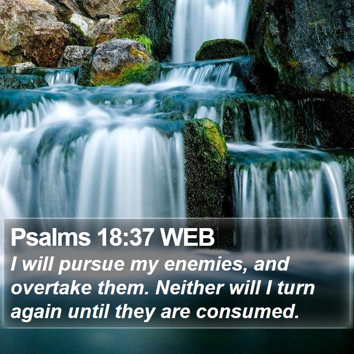 Psalms 18:37 WEB Bible Study