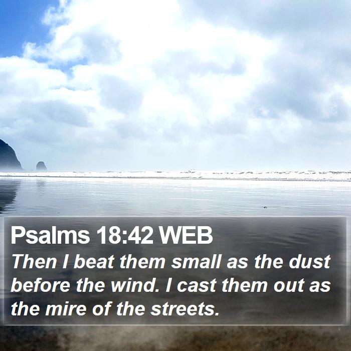 Psalms 18:42 WEB Bible Study