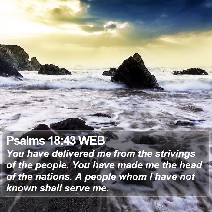 Psalms 18:43 WEB Bible Study