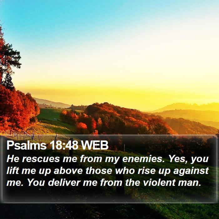 Psalms 18:48 WEB Bible Study