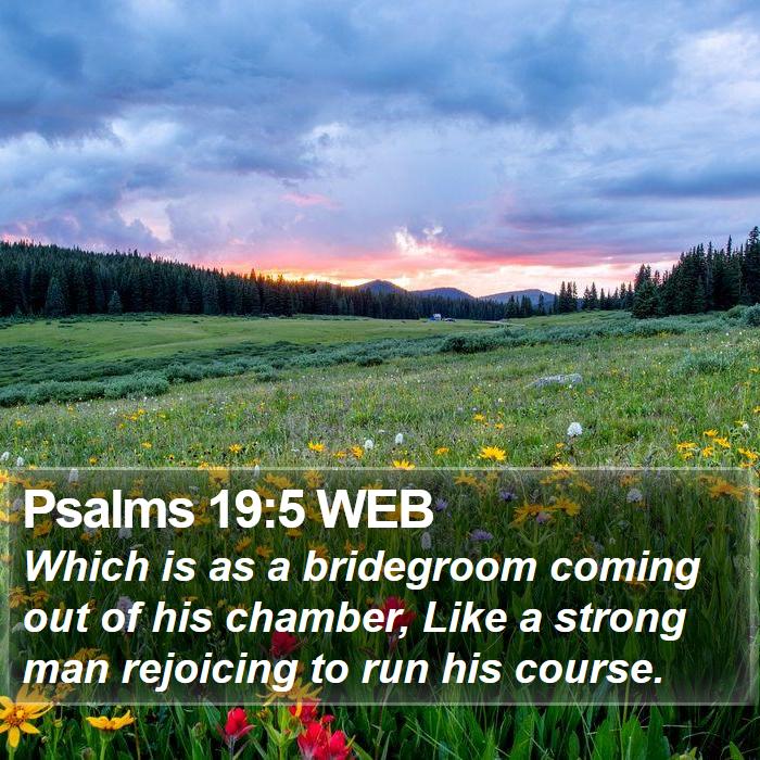 Psalms 19:5 WEB Bible Study