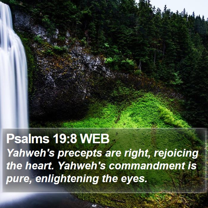 Psalms 19:8 WEB Bible Study