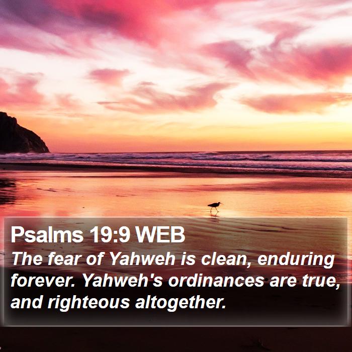 Psalms 19:9 WEB Bible Study