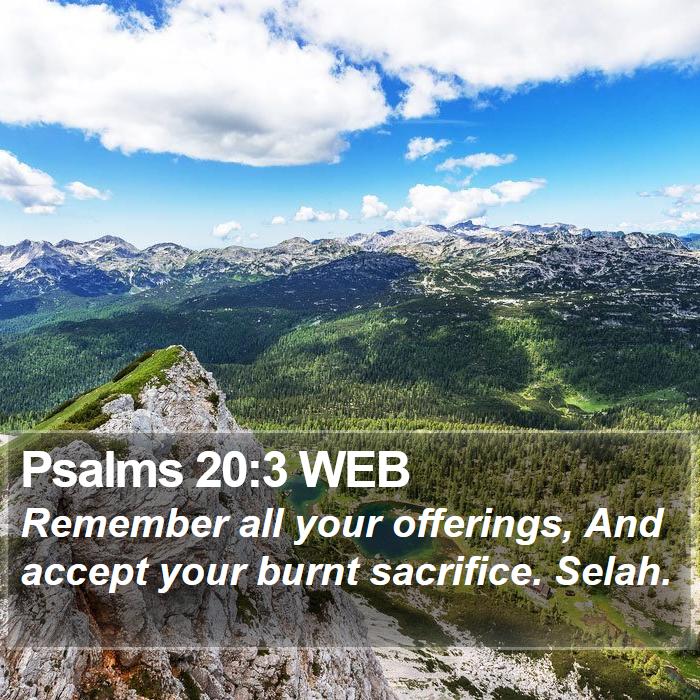 Psalms 20:3 WEB Bible Study