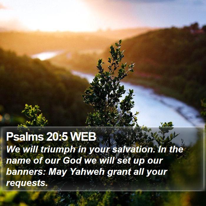 Psalms 20:5 WEB Bible Study