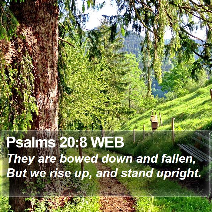 Psalms 20:8 WEB Bible Study