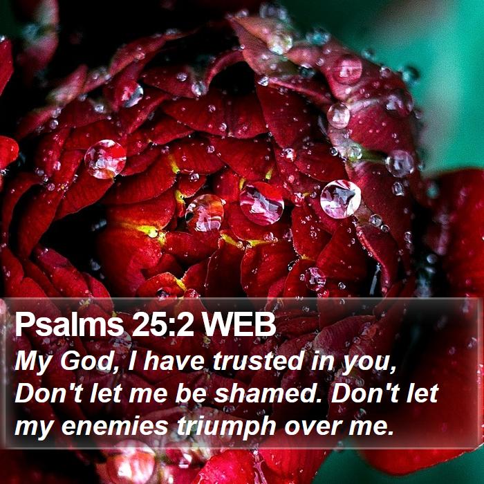 Psalms 25:2 WEB Bible Study