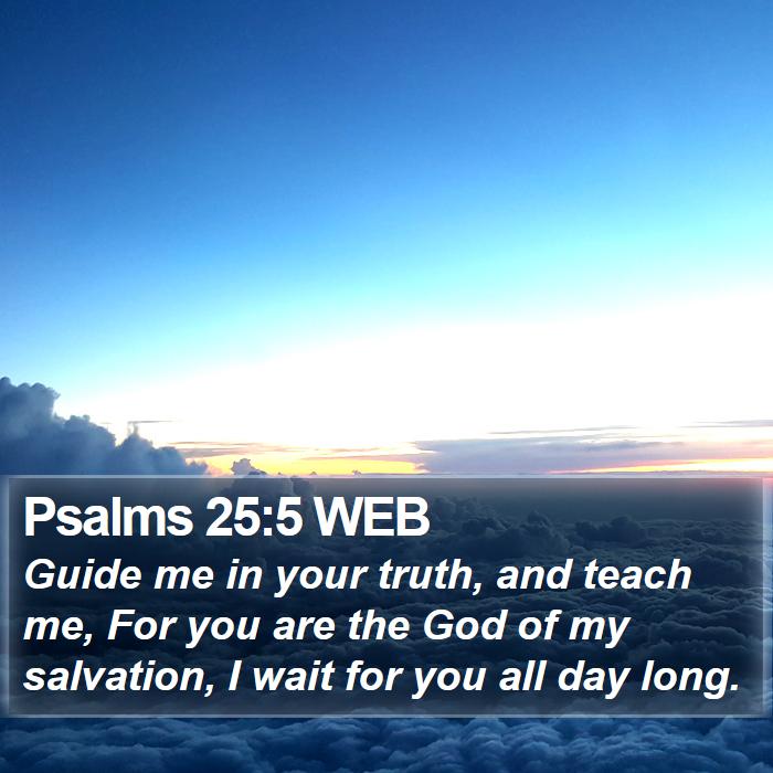 Psalms 25:5 WEB Bible Study