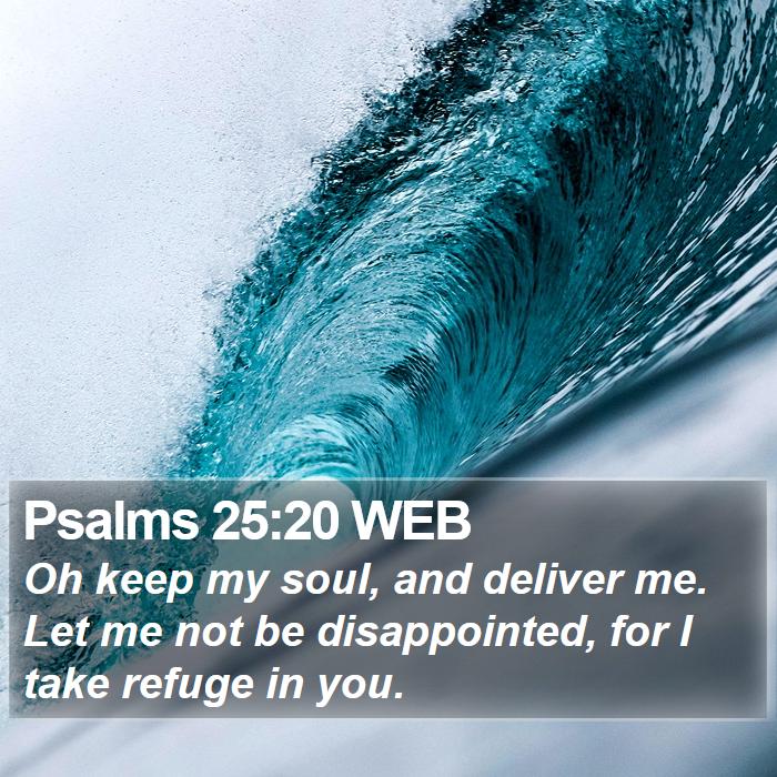 Psalms 25:20 WEB Bible Study