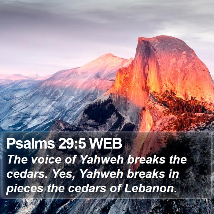 Psalms 29:5 WEB Bible Study