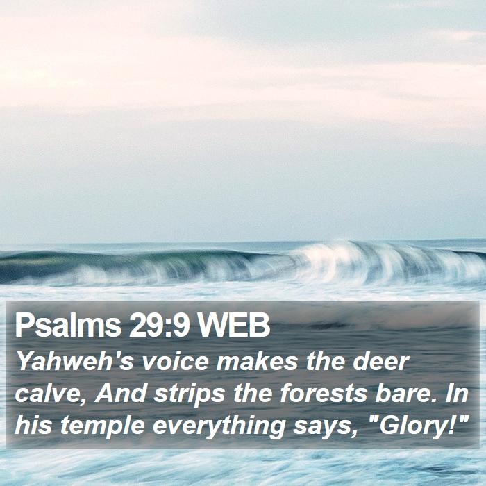 Psalms 29:9 WEB Bible Study