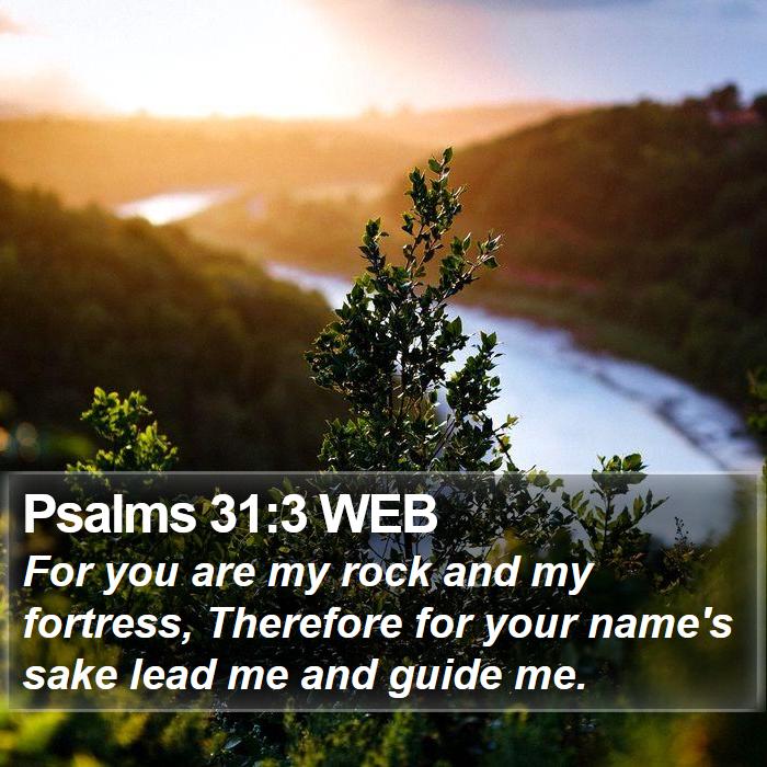 Psalms 31:3 WEB Bible Study