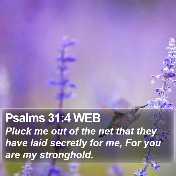 Psalms 31:4 WEB Bible Study