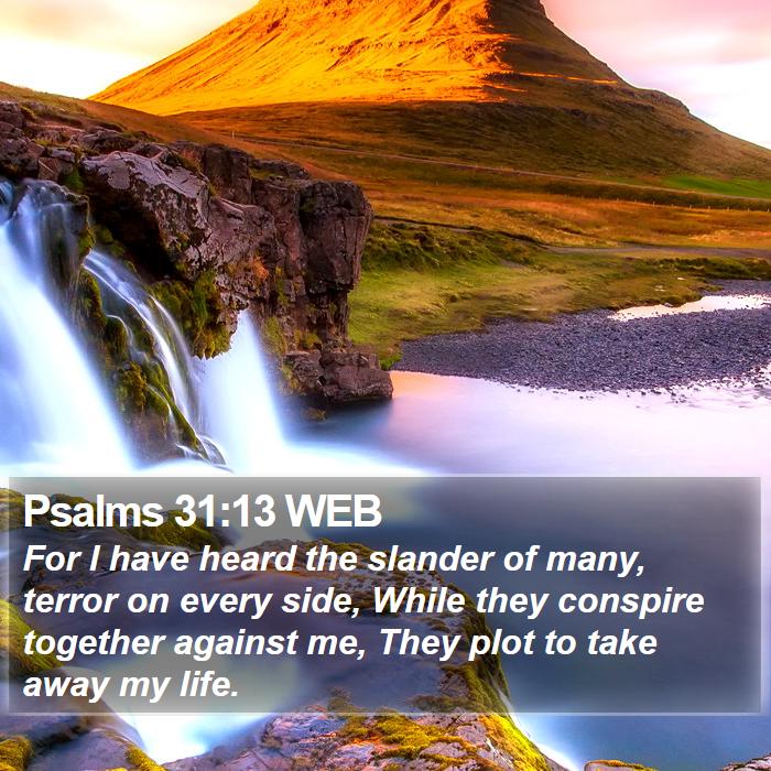 Psalms 31:13 WEB Bible Study