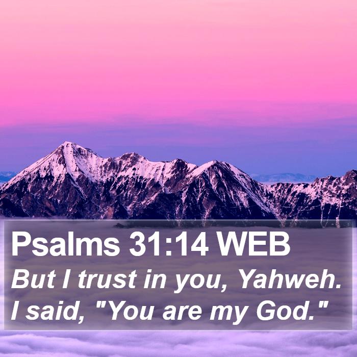 Psalms 31:14 WEB Bible Study