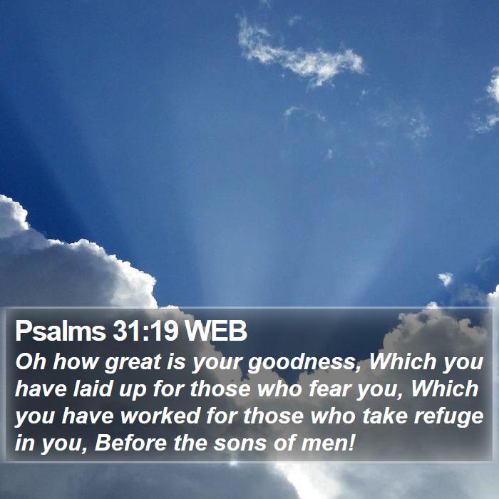 Psalms 31:19 WEB Bible Study