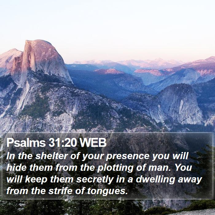 Psalms 31:20 WEB Bible Study