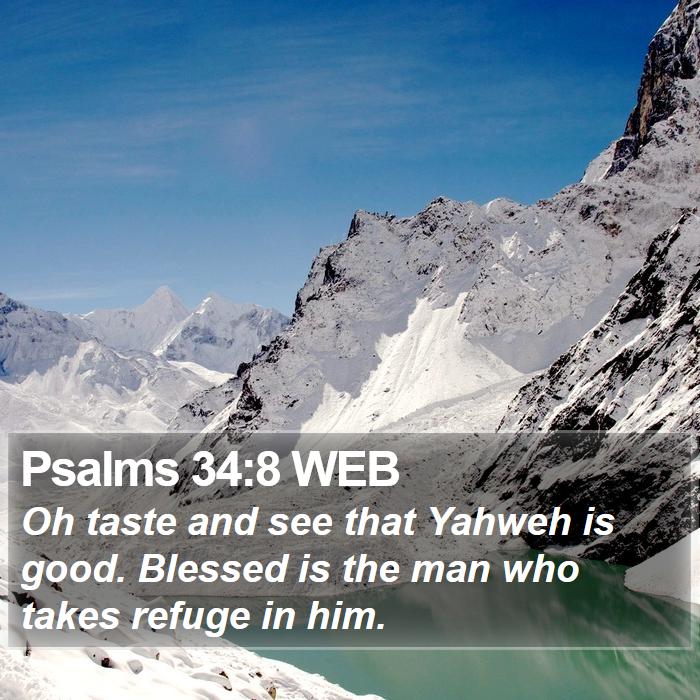 Psalms 34:8 WEB Bible Study