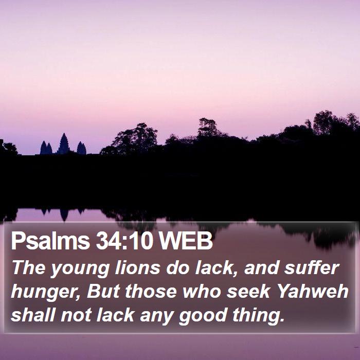 Psalms 34:10 WEB Bible Study