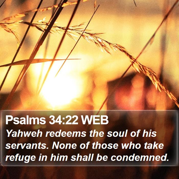 Psalms 34:22 WEB Bible Study