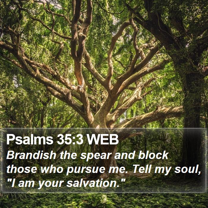 Psalms 35:3 WEB Bible Study