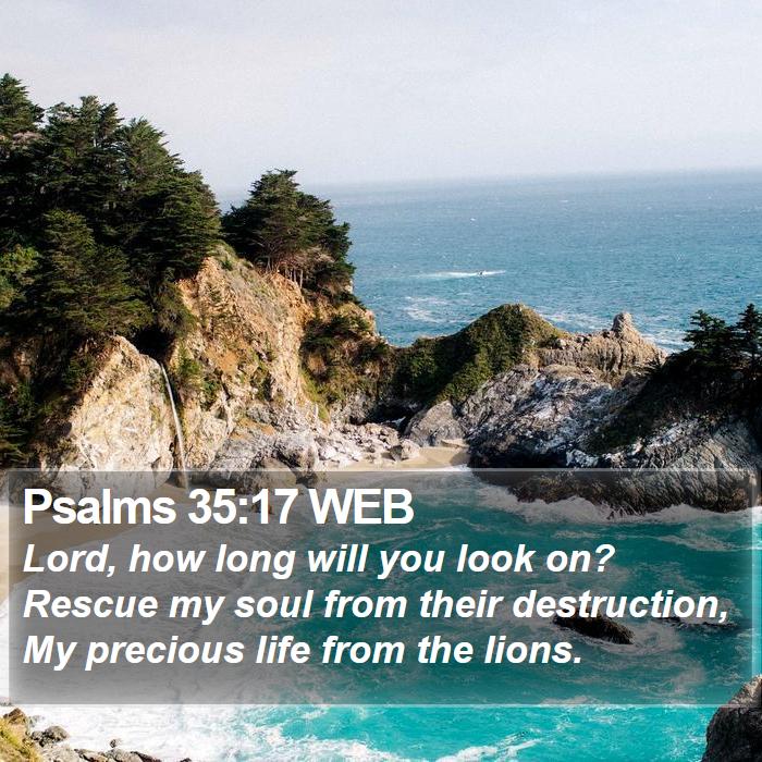 Psalms 35:17 WEB Bible Study