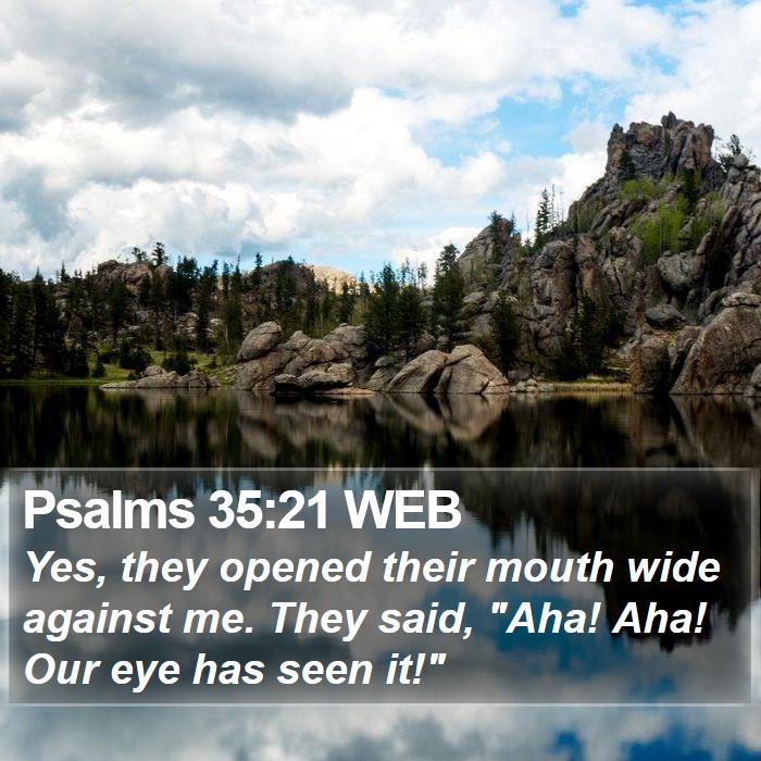 Psalms 35:21 WEB Bible Study