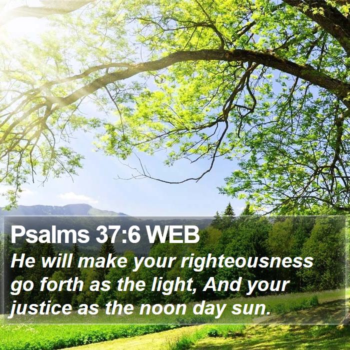 Psalms 37:6 WEB Bible Study