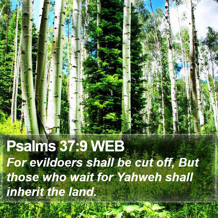 Psalms 37:9 WEB Bible Study