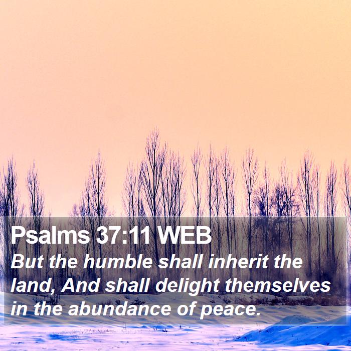 Psalms 37:11 WEB Bible Study