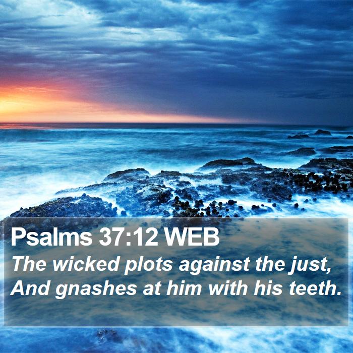 Psalms 37:12 WEB Bible Study