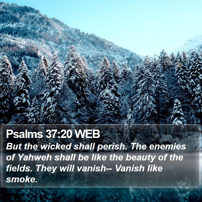 Psalms 37:20 WEB Bible Study