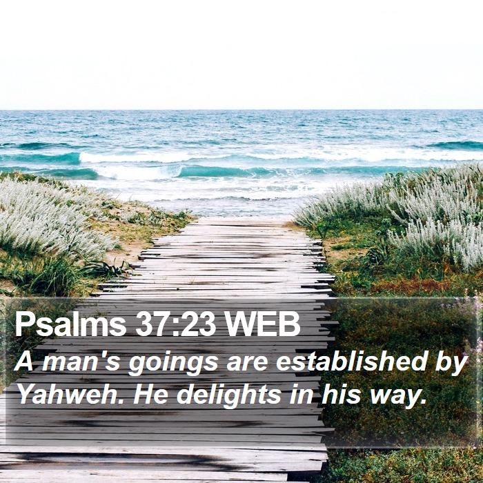 Psalms 37:23 WEB Bible Study