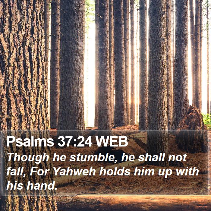 Psalms 37:24 WEB Bible Study