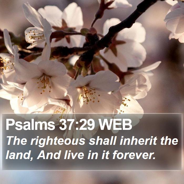 Psalms 37:29 WEB Bible Study