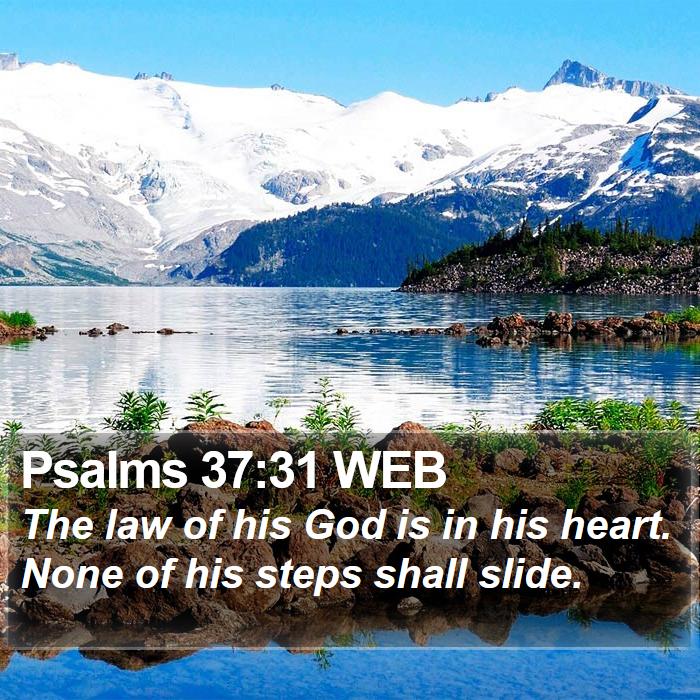 Psalms 37:31 WEB Bible Study