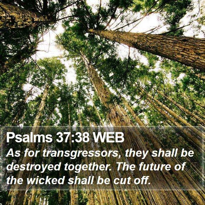 Psalms 37:38 WEB Bible Study