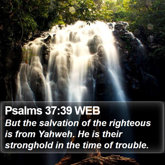 Psalms 37:39 WEB Bible Study