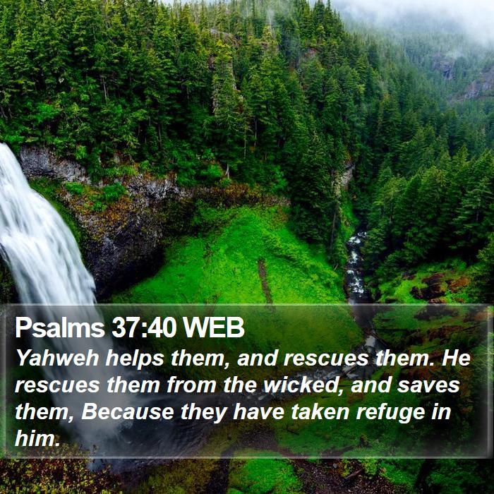 Psalms 37:40 WEB Bible Study