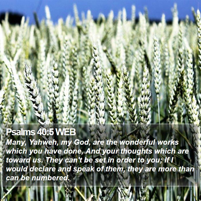 Psalms 40:5 WEB Bible Study