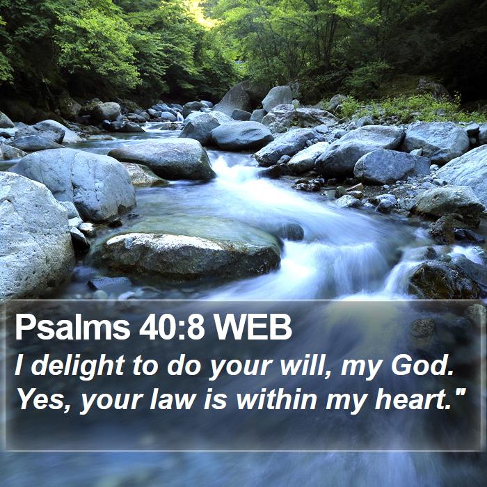 Psalms 40:8 WEB Bible Study