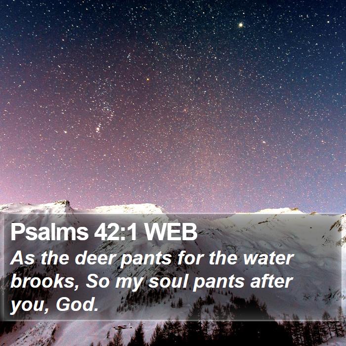 Psalms 42:1 WEB Bible Study