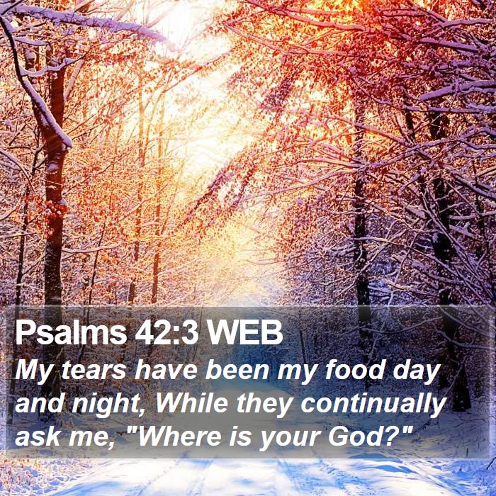 Psalms 42:3 WEB Bible Study